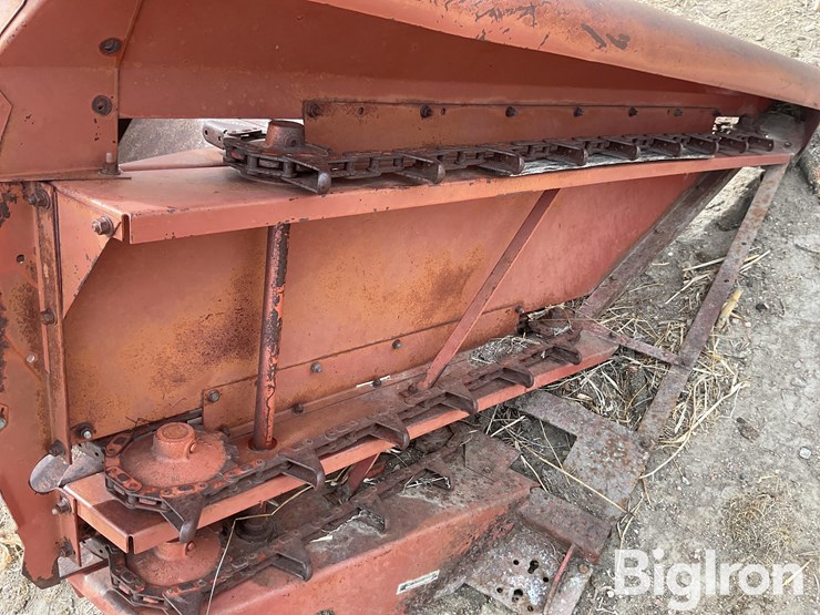 international-555-image-17