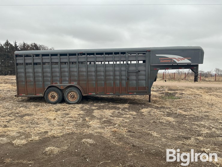 1996-diamond-d-image-4