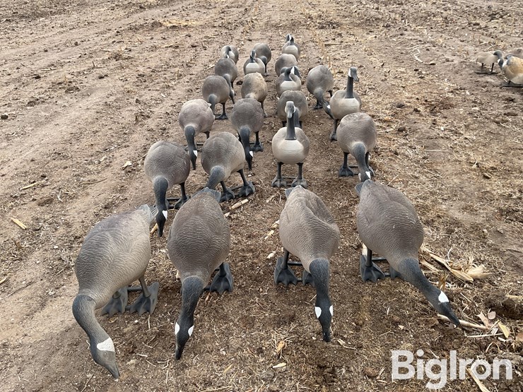 chevrolet-trailer-image-20