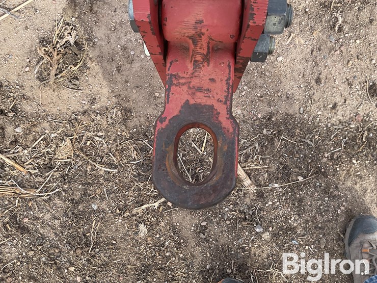 sunflower-4212-image-9