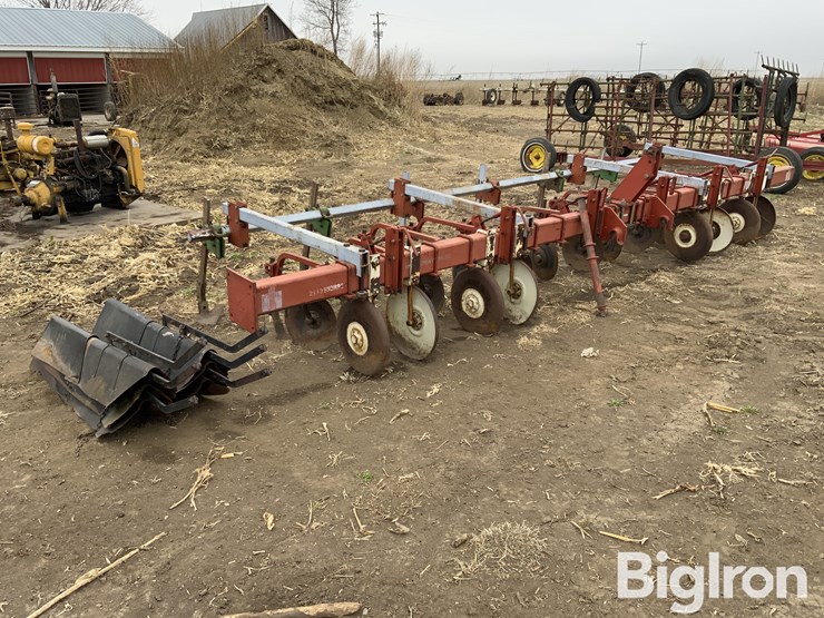 international-170-image-3