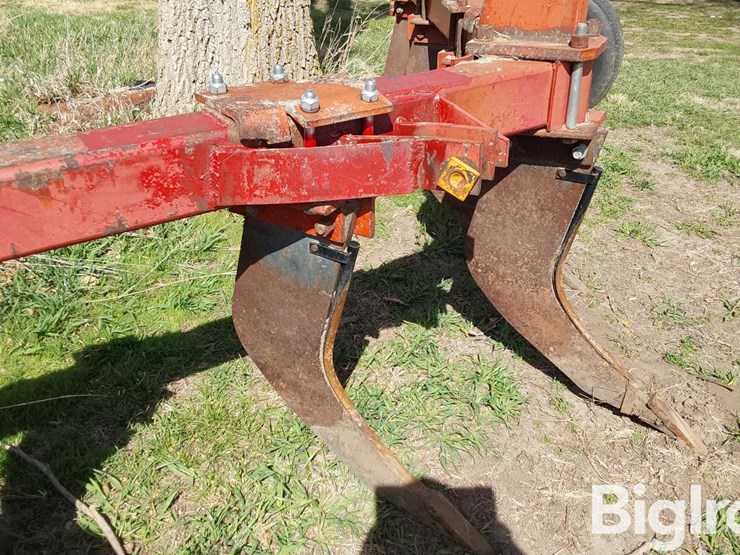 international-10-image-13