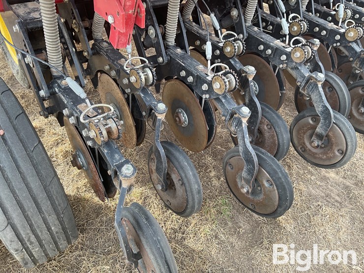 sunflower-9433-30-image-12