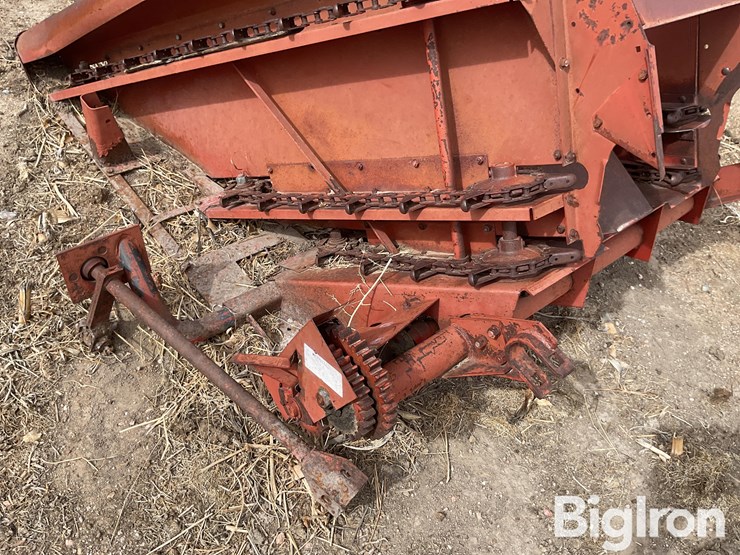 international-555-image-15