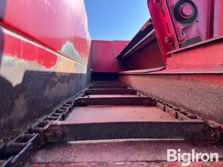 kelly-ryan-5x14-image-19