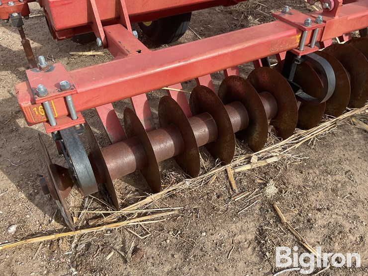 sunflower-4212-image-16