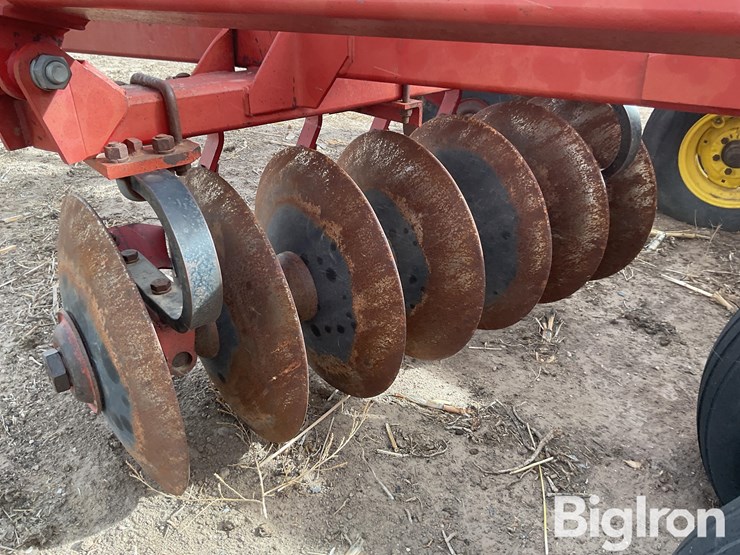 sunflower-1232-32-image-17