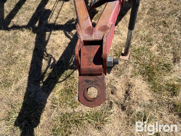 sunflower-3371-33-image-10