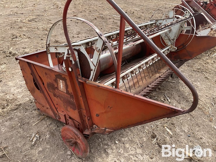 international-7-image-14