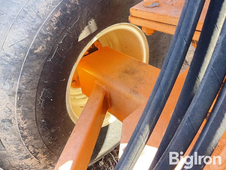 big-dog-s11-image-15