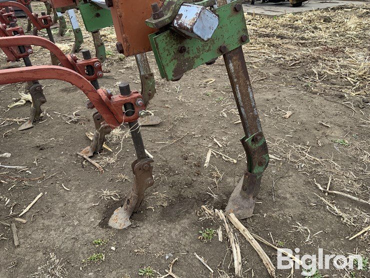 international-170-image-10