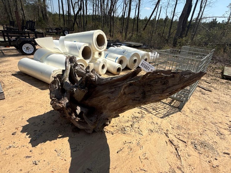 5235---fat-lighter-stump-image-1