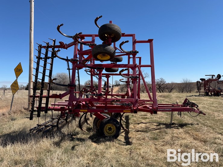 sunflower-2433-31-image-8