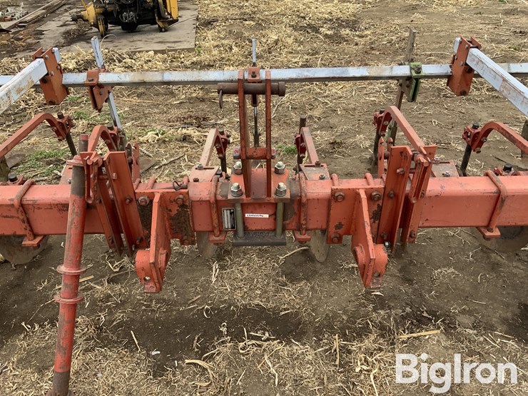 international-170-image-13