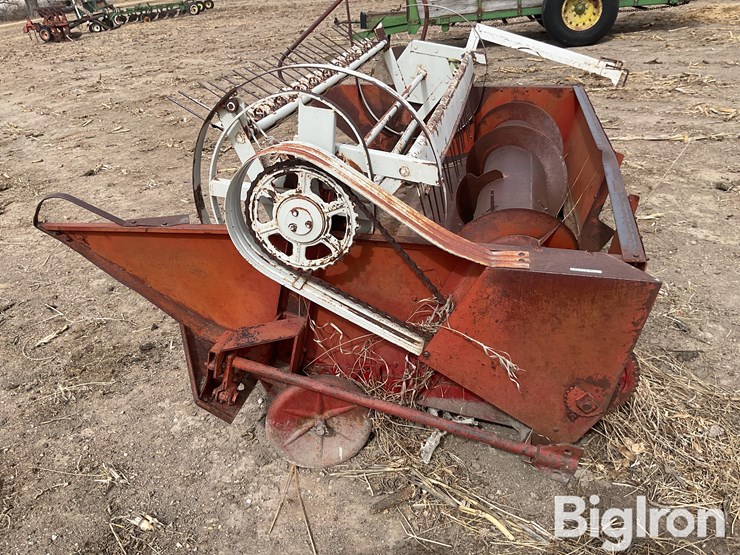 international-7-image-8