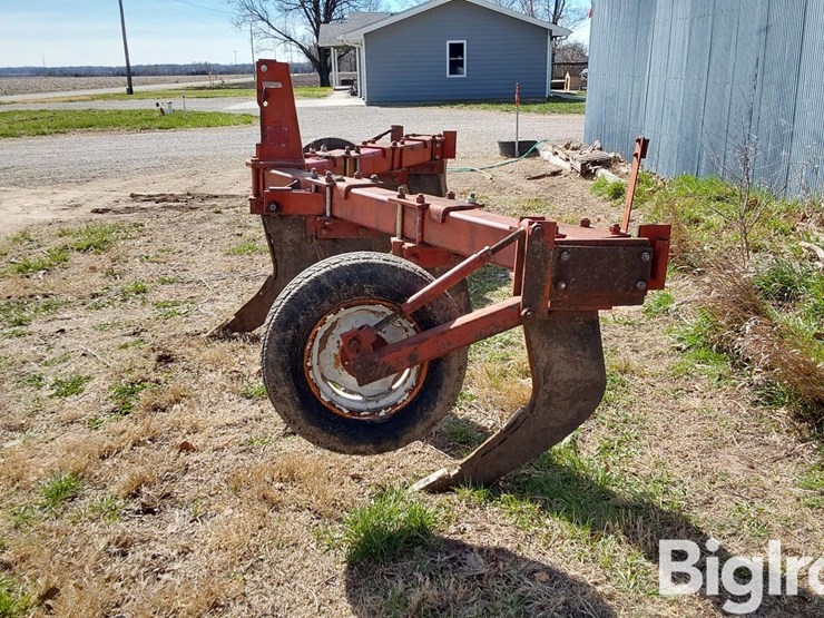 international-10-image-8