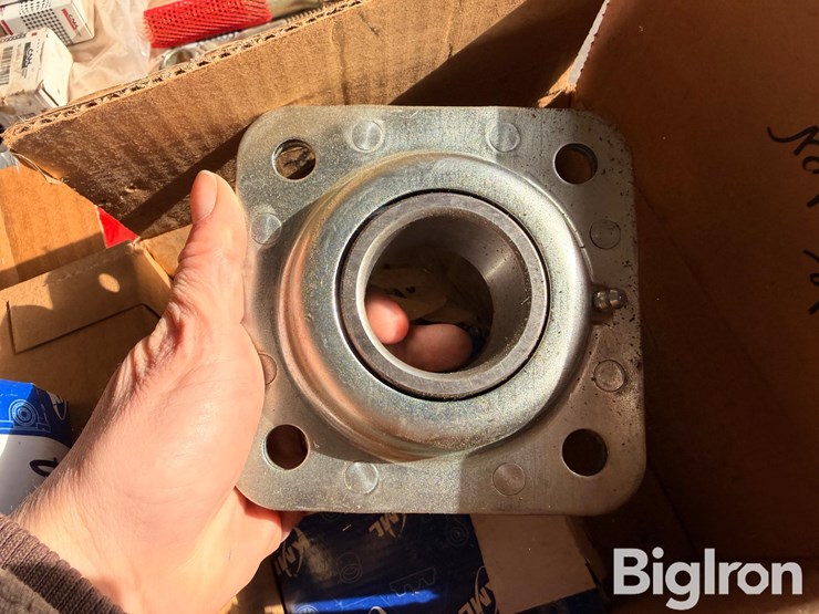 international-490-image-17