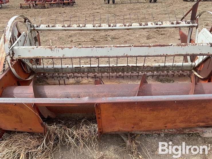 international-7-image-17