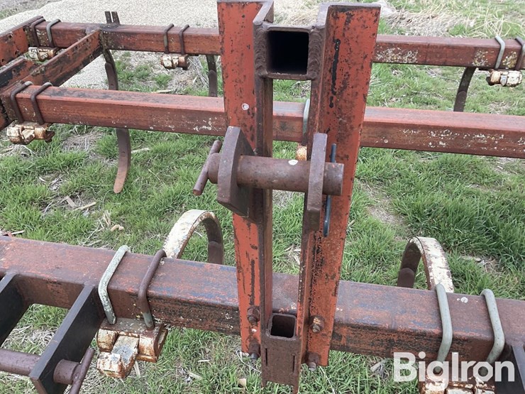 international-55-image-17