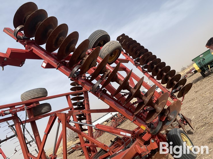 sunflower-1232-32-image-12