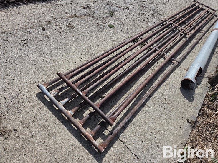 shop-built-livestock-gates-image-1