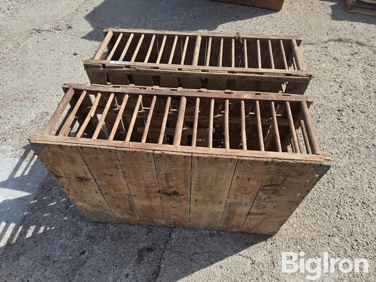 chicken-crates-image-6