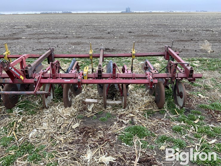 international-470-image-12