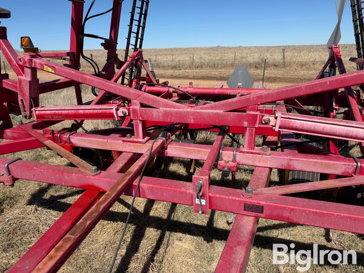 sunflower-2433-31-image-11