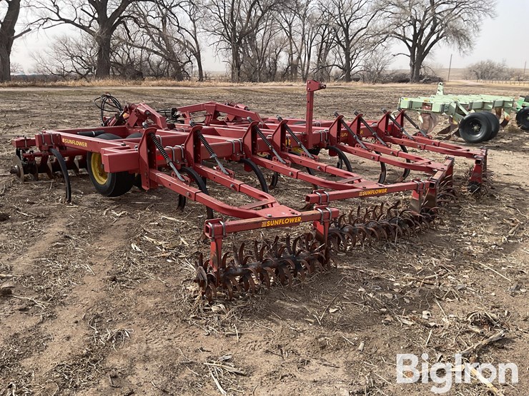 sunflower-4212-image-7