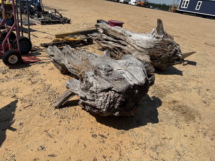 5236---fat-lighter-stump-image-1