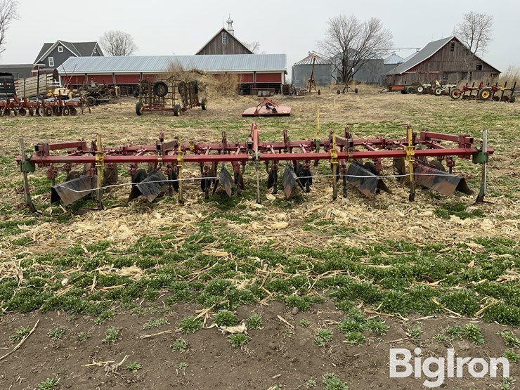 international-470-image-6