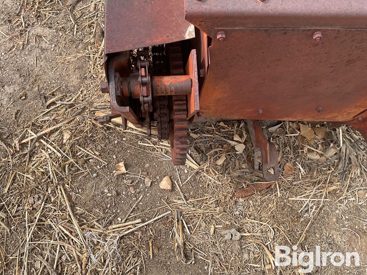 international-5-image-10