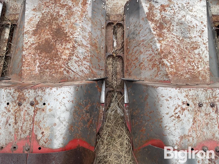 international-963-image-17