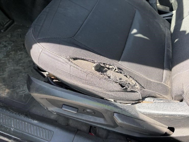 2020-ford-explorer-police-interceptor-image-13