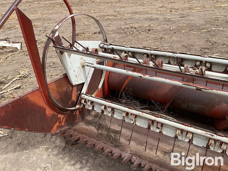 international-7-image-10