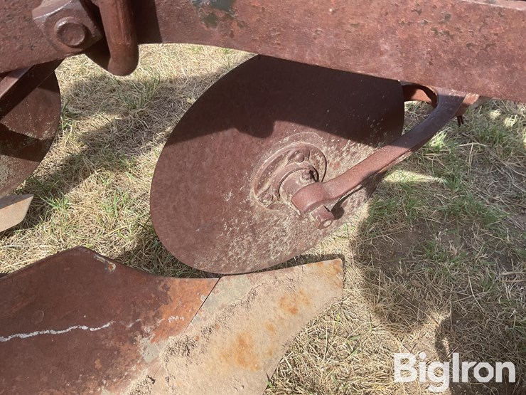 international-3-image-12