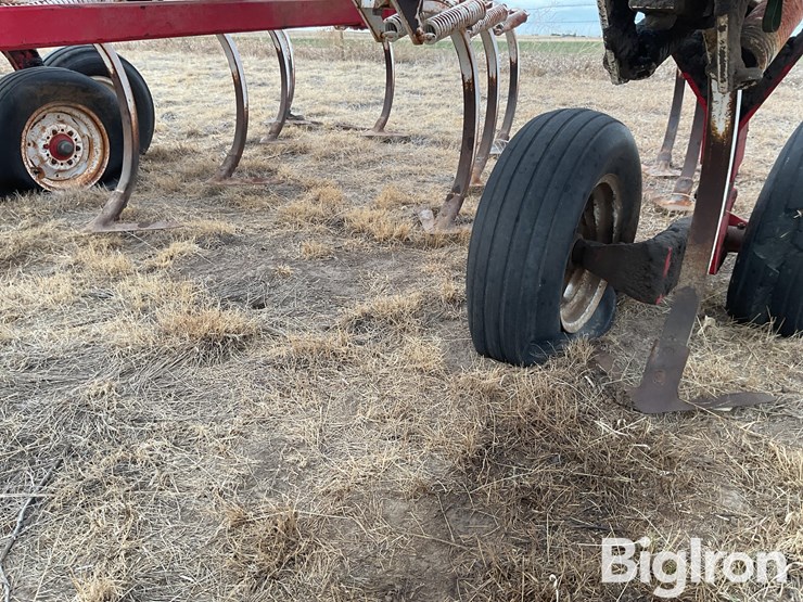 wil-rich-4400-image-13