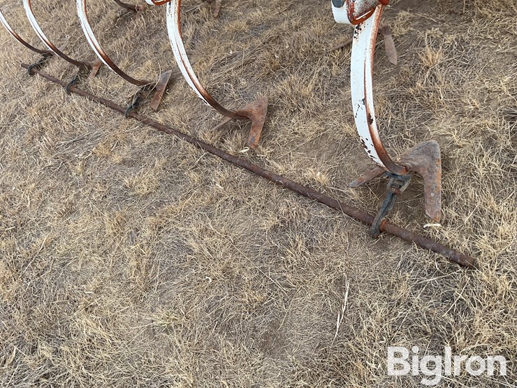 wil-rich-4400-image-20