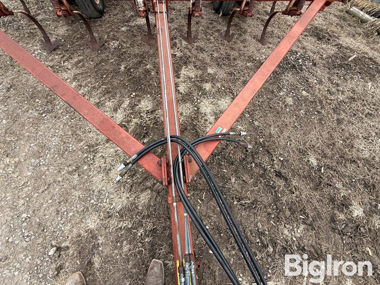 wil-rich-2500-image-10