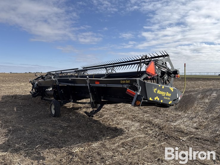 2016-honey-bee-sp36-image-5