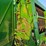 john-deere-567-image-6