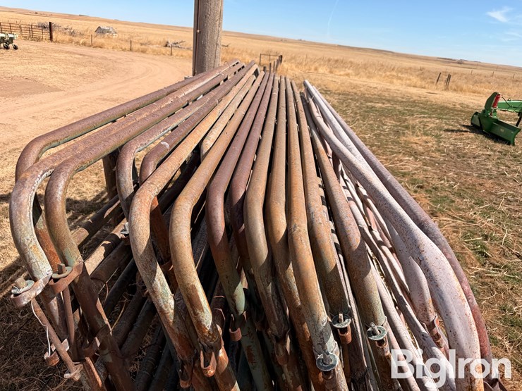 12'-livestock-panels-image-9