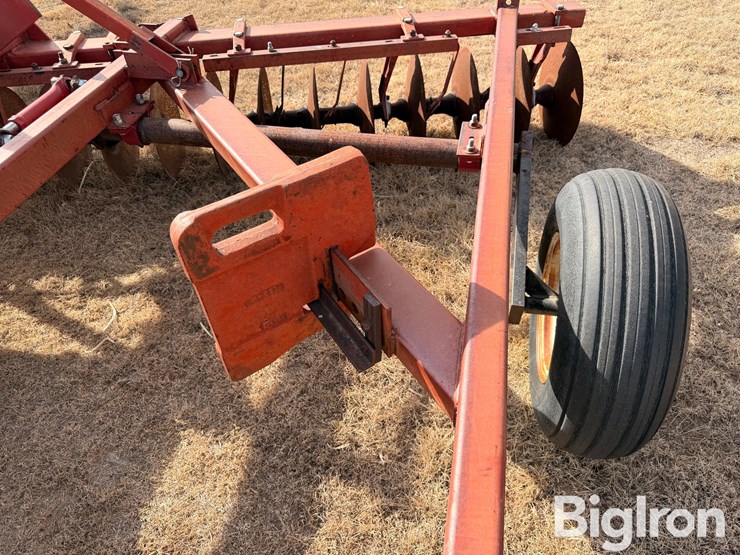 international-490-image-19