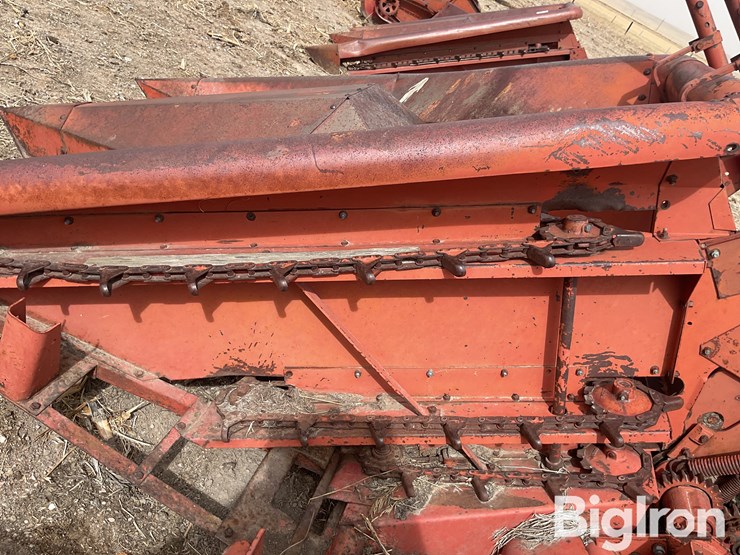 international-555-image-17