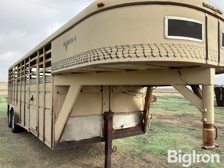 1988-diamond-d-image-13