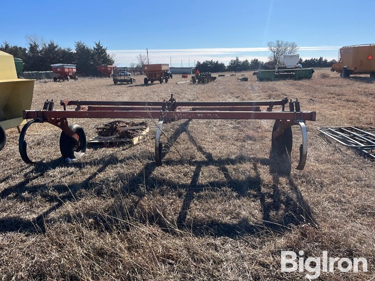 international-55-image-6