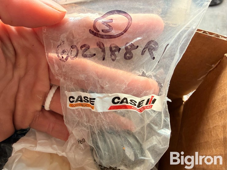 international-490-image-9