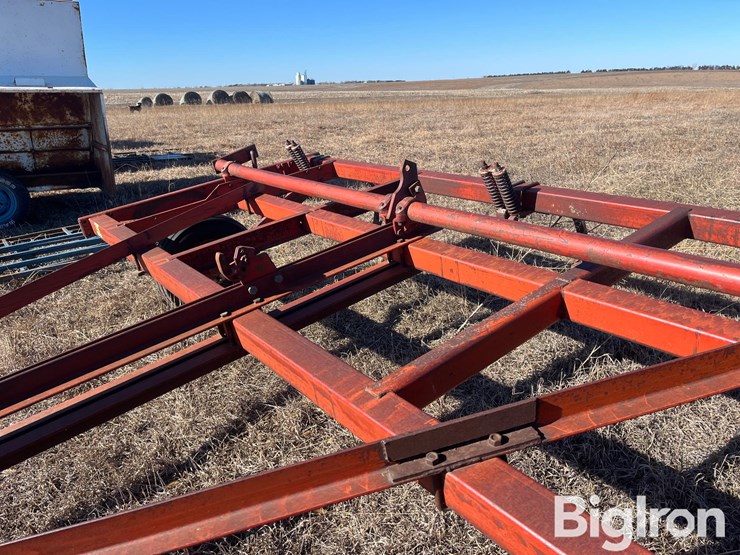 international-55-image-11