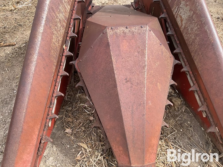 international-555-image-11