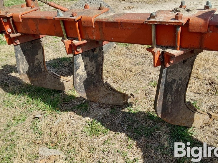 international-10-image-15